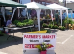 farm-market
